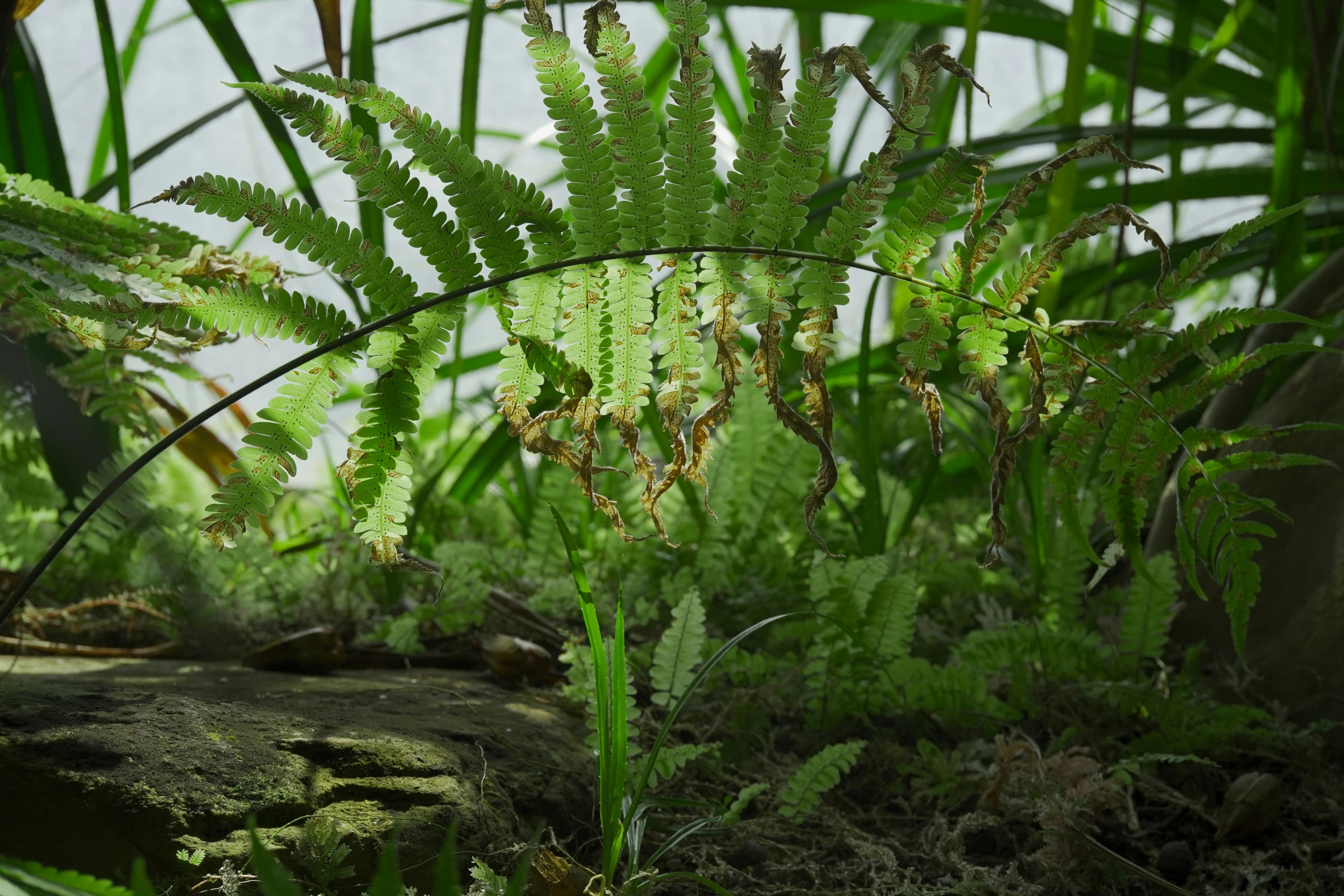 Park przy ul. Przygodnej