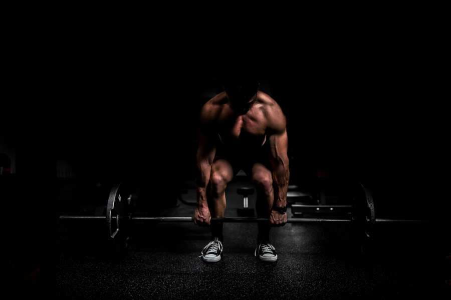 Prosport studio treningowe