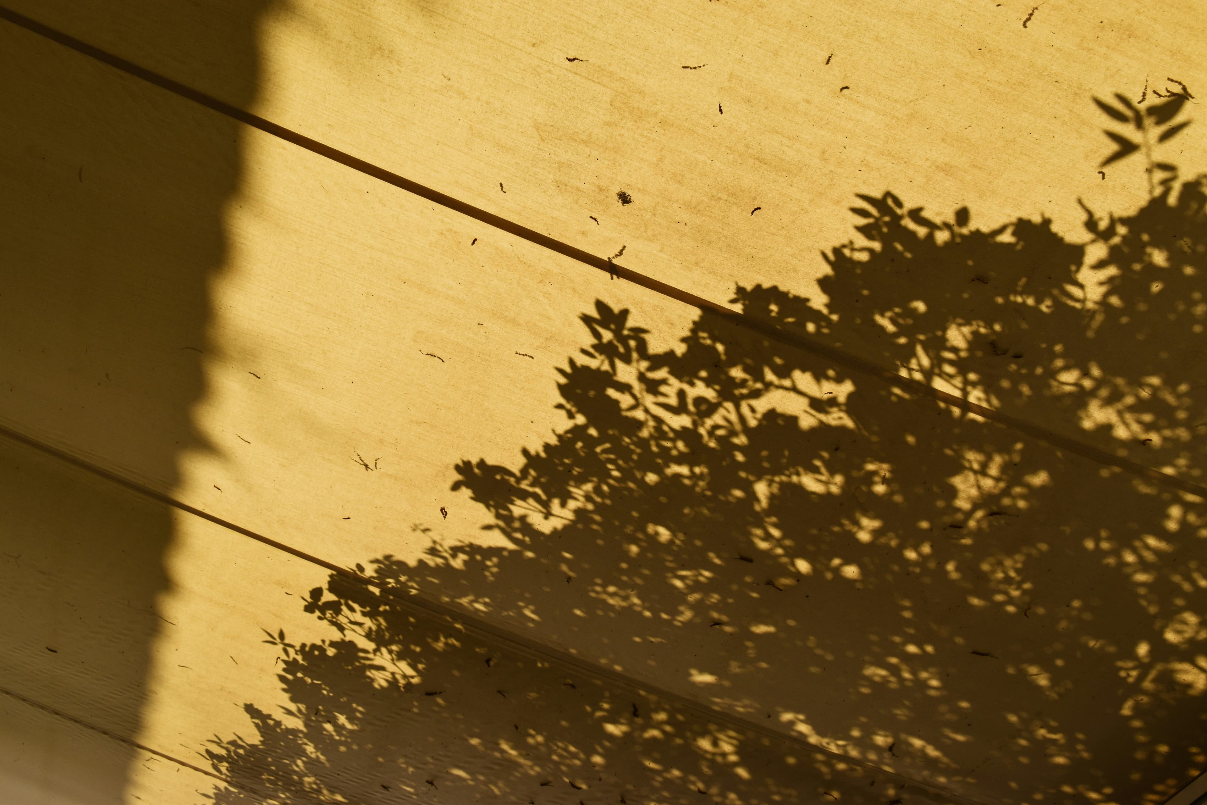 Skatepark im. Mateusza Grochowskiego